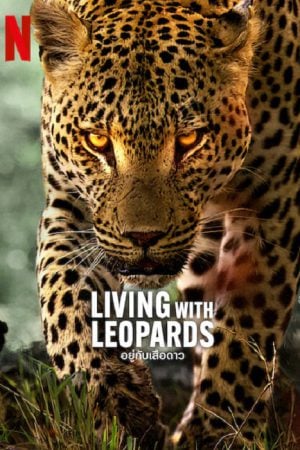Living-with-Leopards-2024-อยู่กับเสือดาว-300x450