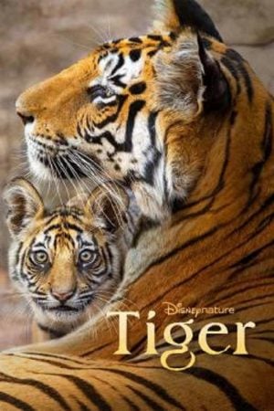 Tiger-2024-300x450