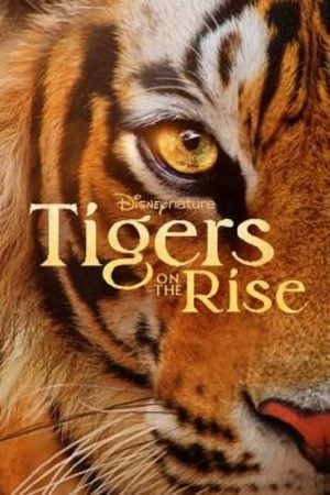 Tigers-on-the-Rise-2024-300x450