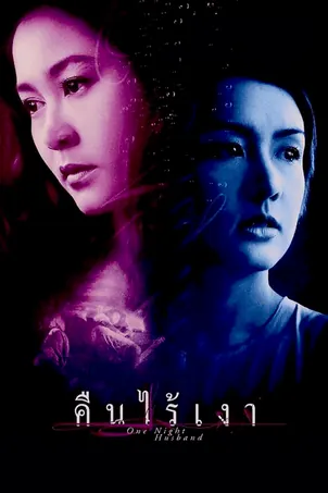 one-night-husband-2003-คืนไร้เงา
